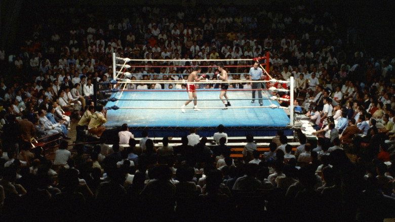 The Boxer image 10