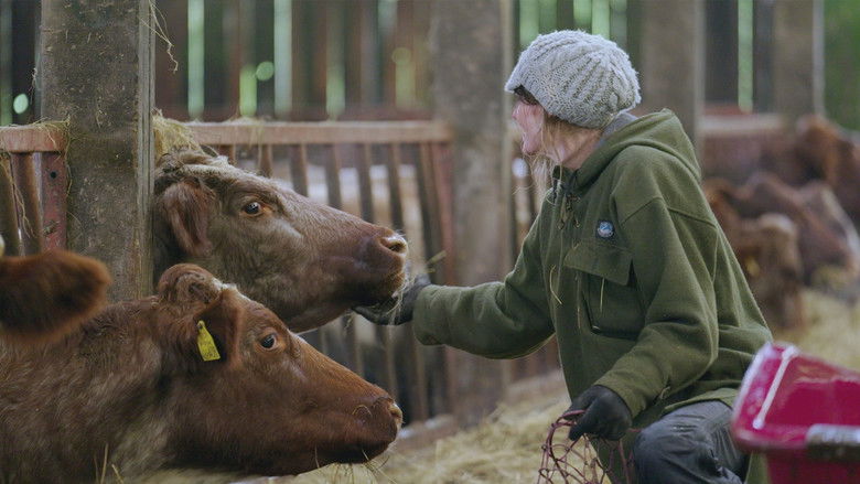 Still image for Our Farm Next Door: Amanda, Clive and Kids season 1 episode 1: Episode 1 Still image for Our Farm Next Door: Amanda, Clive and Kids season 1 episode 1: Episode 1