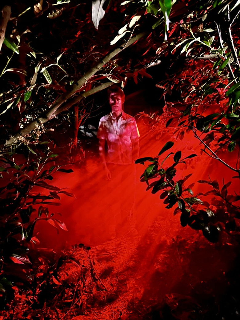 Imatge de Is that you