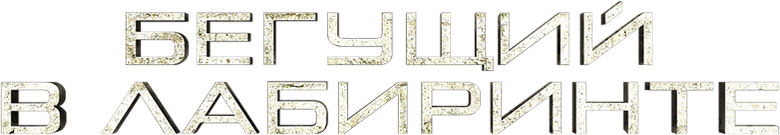 Бегущий в лабиринте