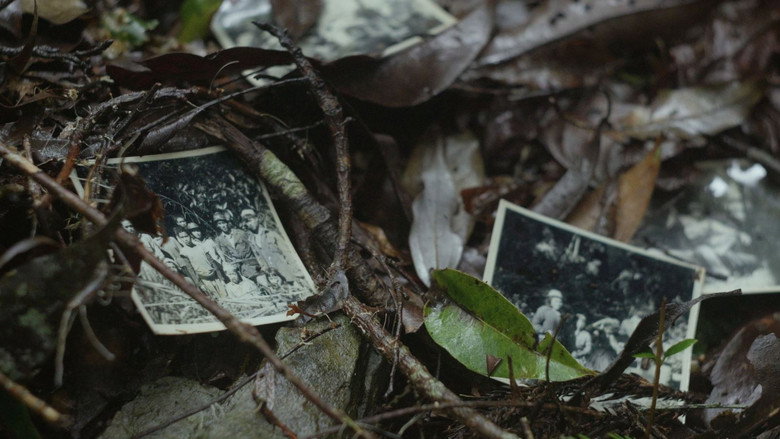 Imatge de 複層之森