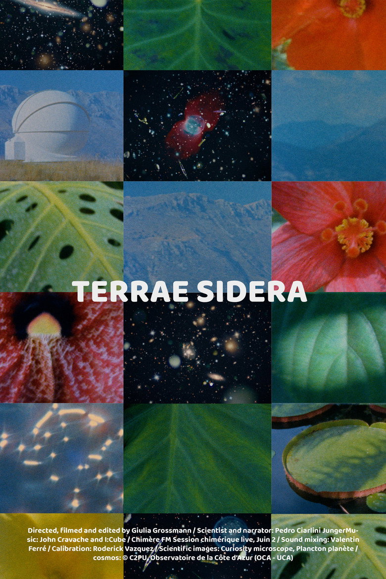Imatge de Terrae Sidera