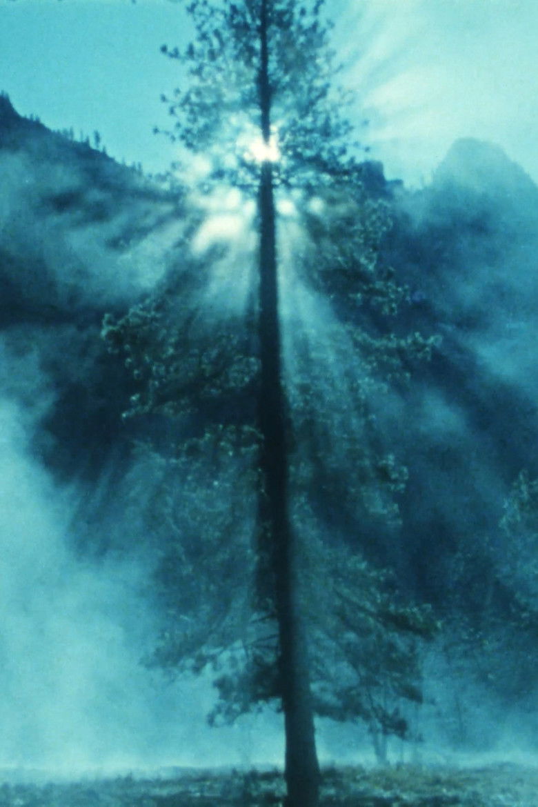 Imatge de Wilderness: A Country in the Mind