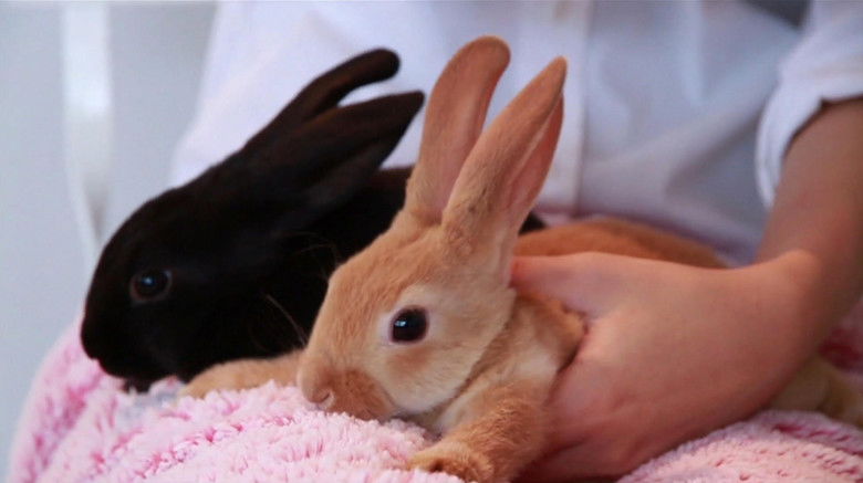 Still image for Asie Insolite season 1 episode 1: Episode 1