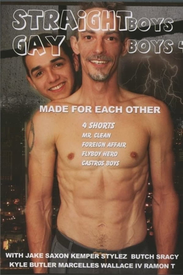Постер коллекции Straight Boys Gay Boys Collection