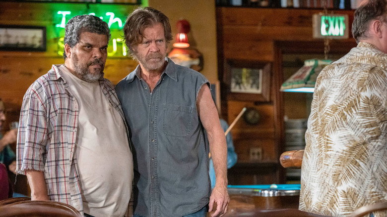 Shameless 10 Streaming Ita Il Genio Dello Streaming