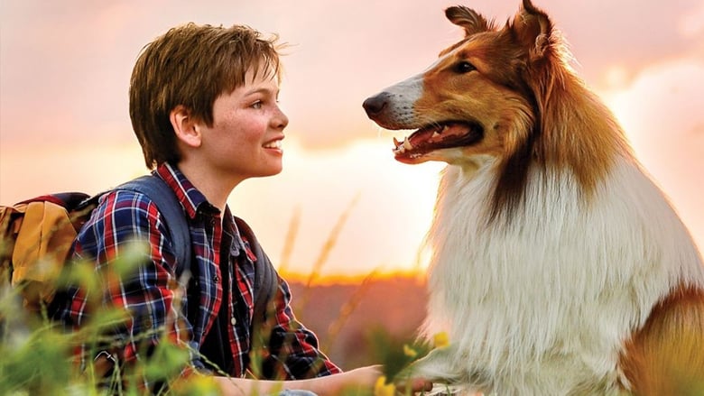 Lassie Vuelve a Casa (2020) DVDRIP LATINO