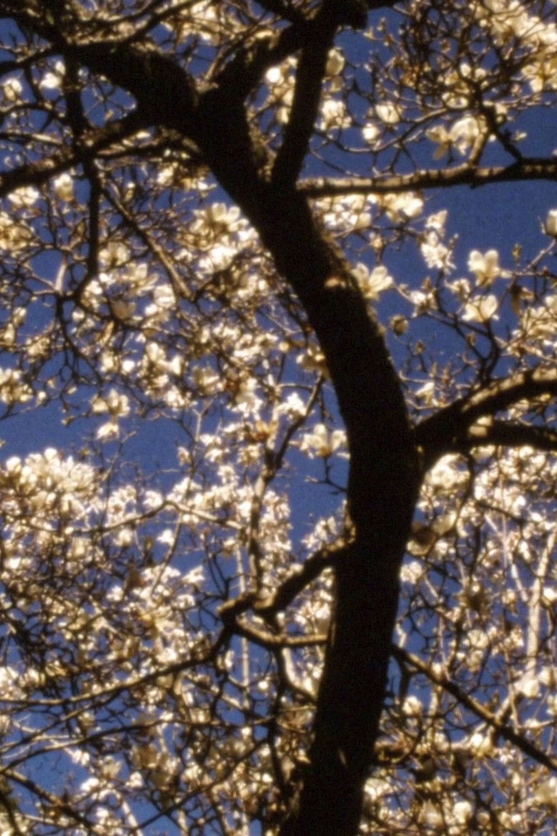 Imatge de Ember Days