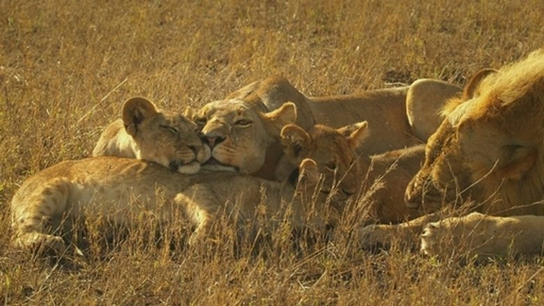 Still image for 森林女王 season 1 episode 5: Episode 5