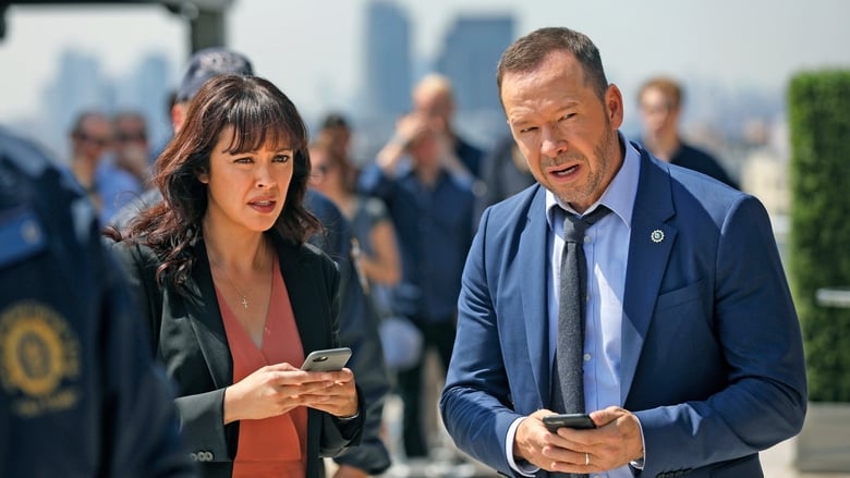 Blue Bloods (Familia de policías): 9×3