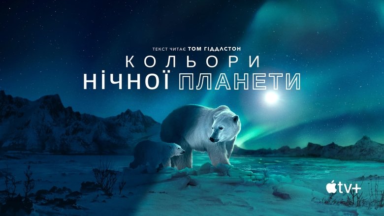 Gallery image from hpry7TVTP8xPDqEkRaWenm7r9vV.jpg