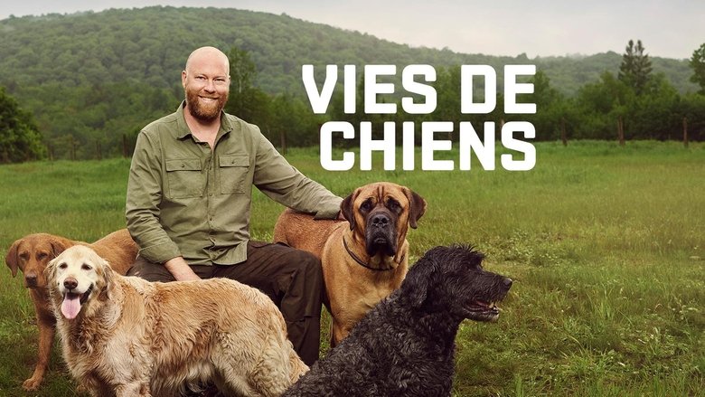 Gallery image from hqrjxwxl6AV8PdrwDsxe6bUwMTf.jpg