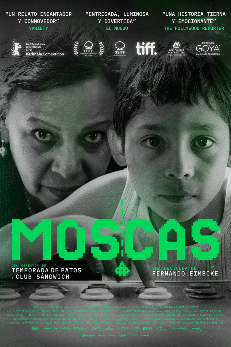 Póster de Moscas