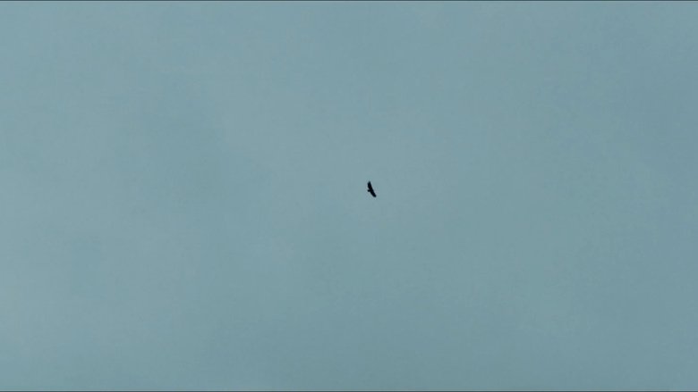 Gallery image from hswr54eGh6JOCAsX3dDnYnxCRNo.jpg