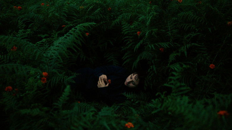 Gallery image from htQcU7tVyDKLRJp7UOAJDUwk6xy.jpg