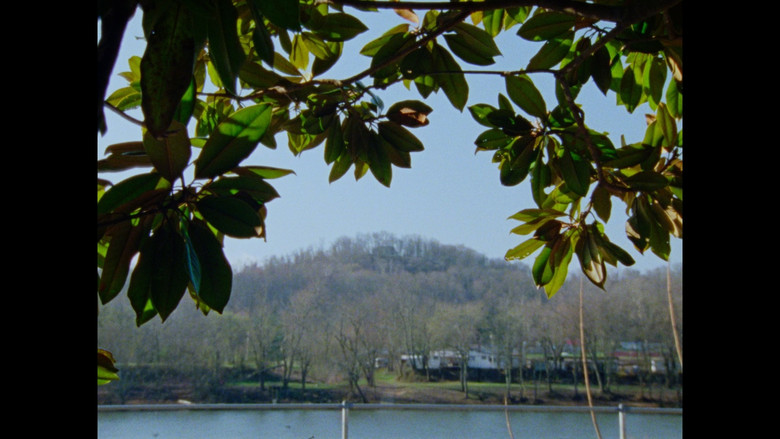 Gallery image from htStGCH3oDjCV9LAC1gNPfWzl7X.jpg