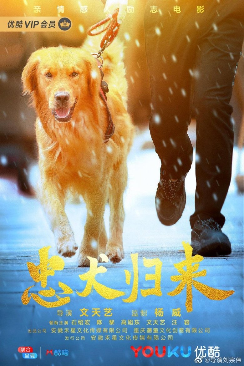 忠犬归来 main poster
