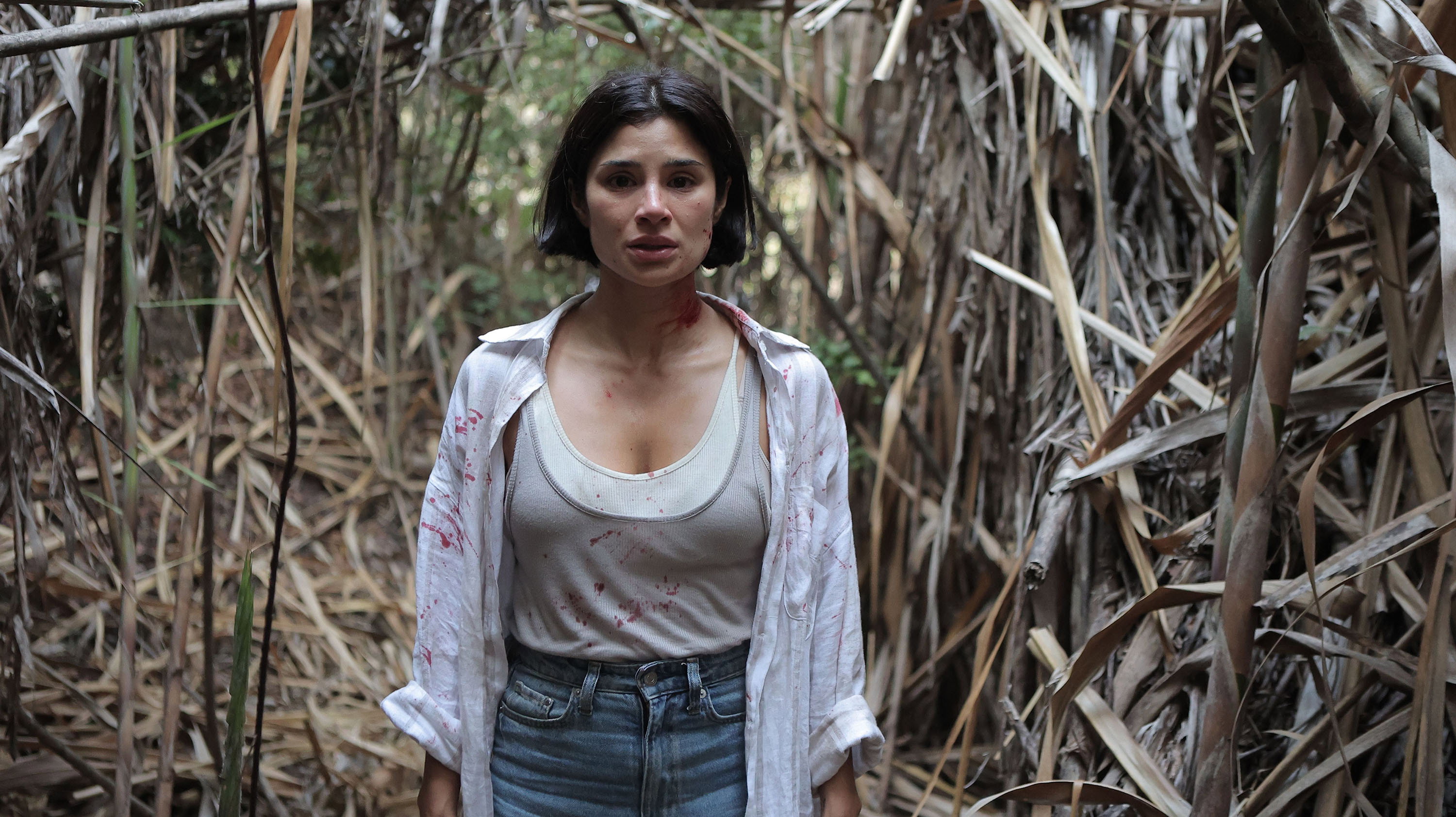 فيلم The Whistler 2026 مترجم