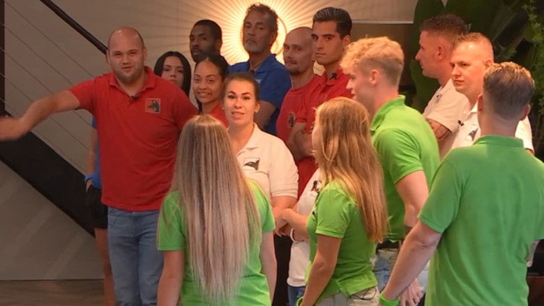 Still image for De Bondgenoten season 1 episode 242: Episode 242