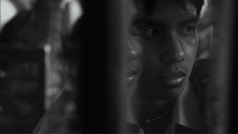 Imatge de Shady of Pink