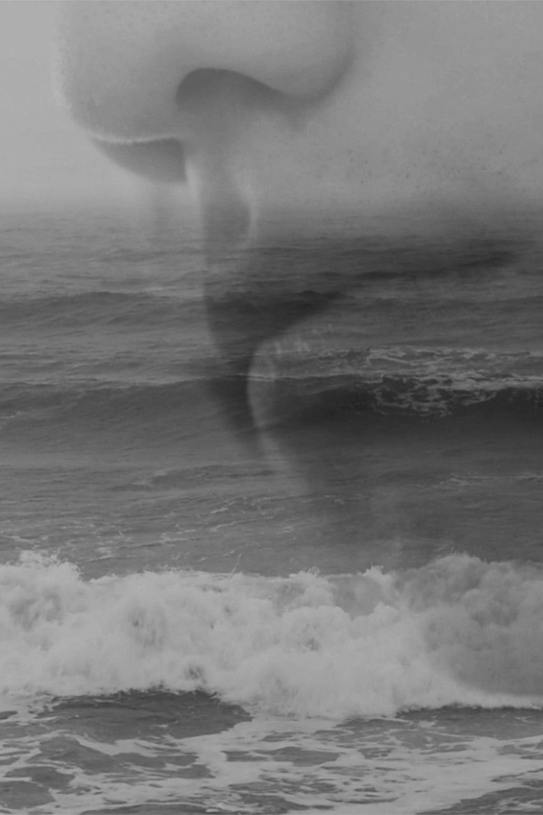 Imatge de As my gaze fell upon the stormy seas, I wept ...and soon the skies followed