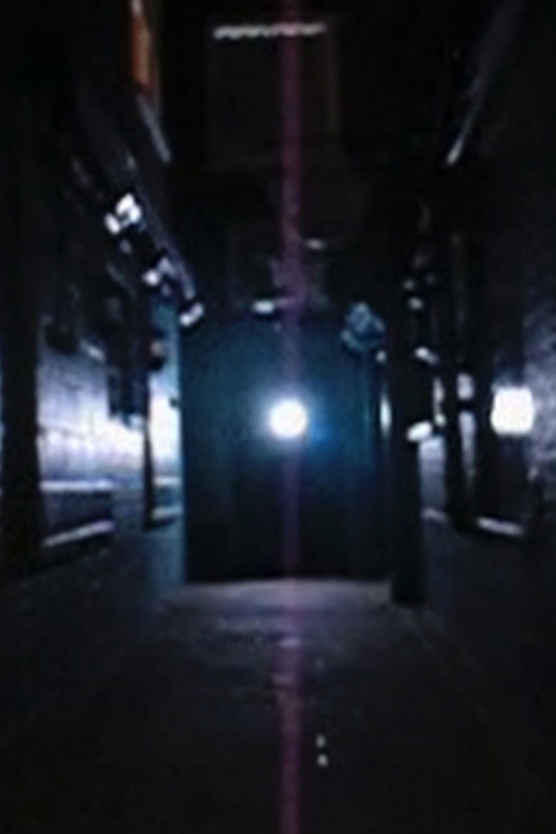 Imatge de One bright light. Not high enough to be a star.