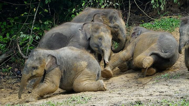 Still image for Asia – Secret Lives, Hidden Places season 1 episode 9: Episode 9 Still image for Asia – Secret Lives, Hidden Places season 1 episode 9: Episode 9