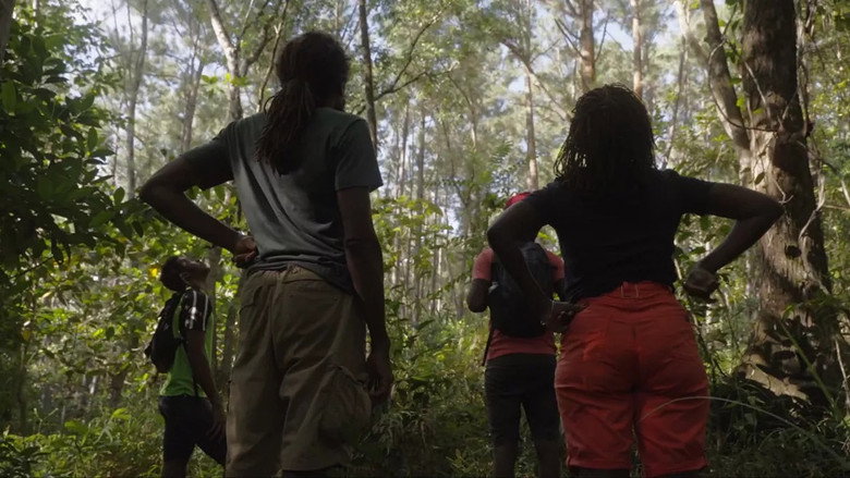 Au bout de la forêt, l'espoir still 9