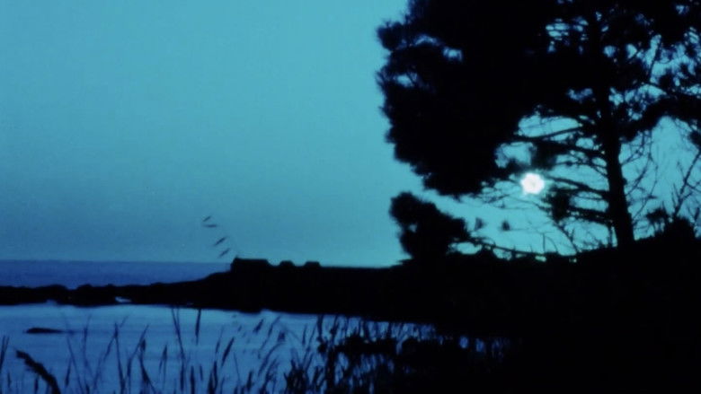 Gallery image from hvggUnH8LcSo00me3Vb4ELYkKxM.jpg