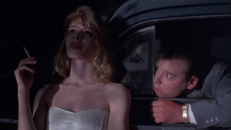 The Unbelievable Truth (1990)