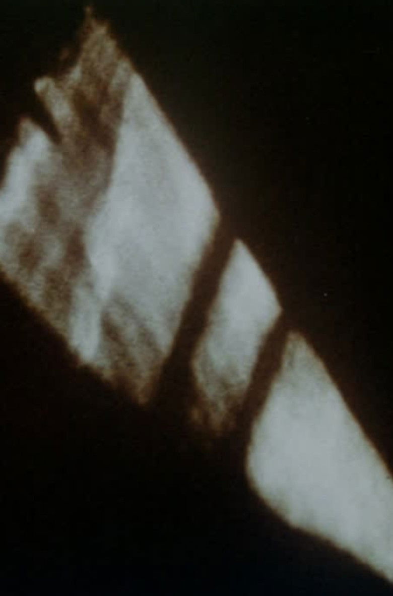 Imatge de Anticipation of the Night