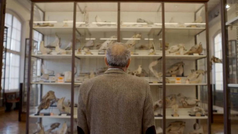 Gallery image from hxfGOufLyTpVabTHnPXJDqj1CEj.jpg