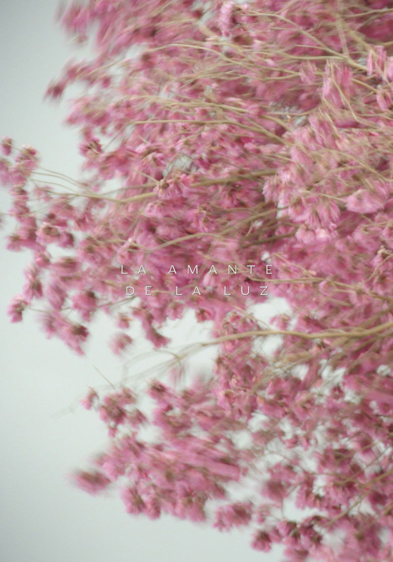 Imatge de La amante de la luz