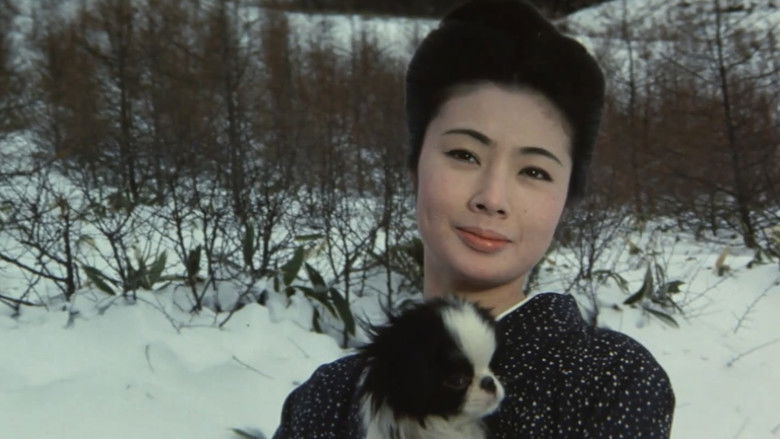 Image d'arrière-plan 9 du film Okoma, the Orphan Gambler