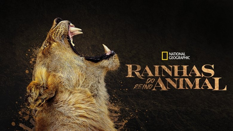 Gallery image from hzfRAdm1uvZQ29JtOPGgV9e5Yw6.jpg