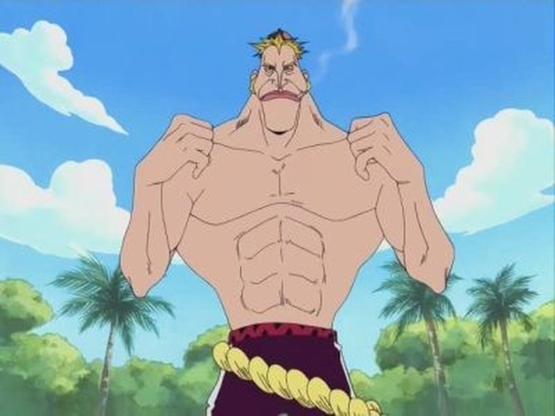 A Quel Episode Franky Rejoint L'équipage De Luffy One Piece: 9x269 - AnimeFlix