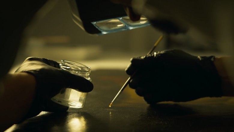 Gallery image from i0E3obps01o1WCJvs27hDq4xH3X.jpg