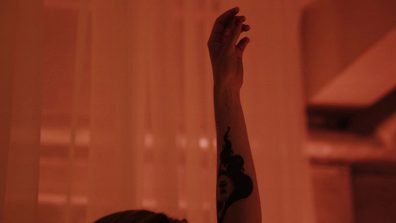 Gallery image from i0zHGoTzueBcXffpEpBfnJ0807K.jpg