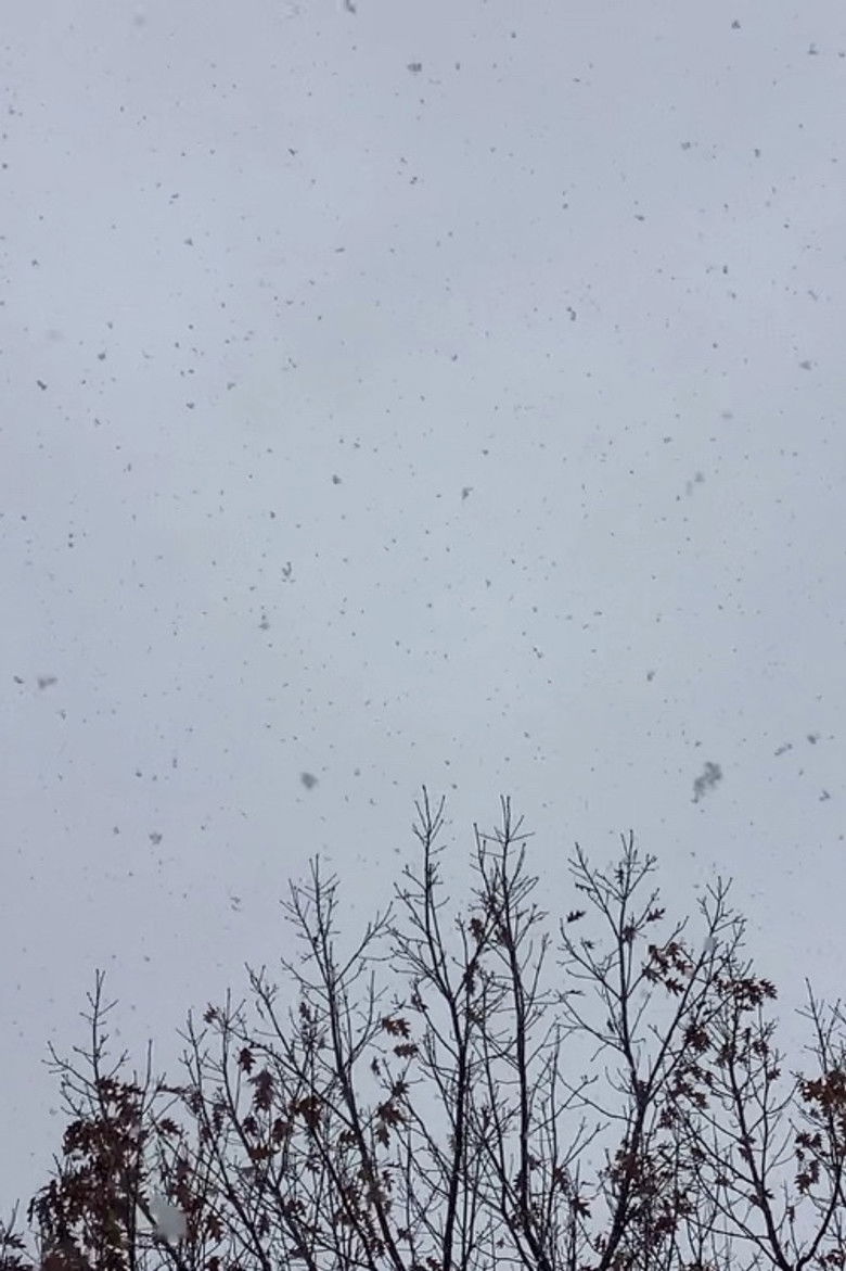 Imatge de a sudden change in seasons