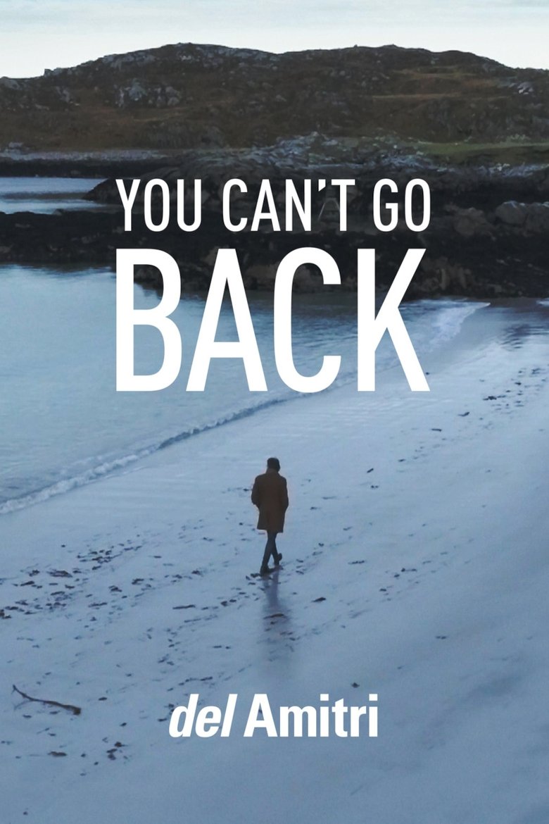 Del Amitri: You Can’t Go Back main poster