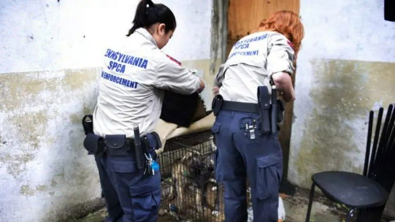 Still image for Animal Cops: Philadelphia season 1 episode 1: Undercover Sting