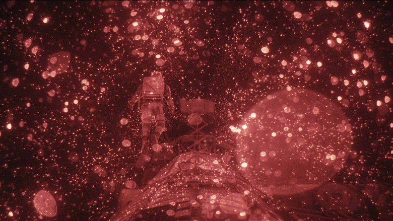 I2evxy53vwvz9mt7nc8mb59wfbo