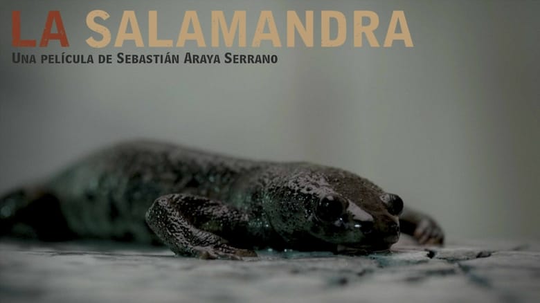 Schauen The Salamander On-line Streaming