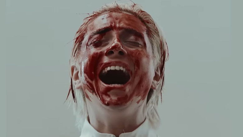 Imatge de FREE SPIRITS