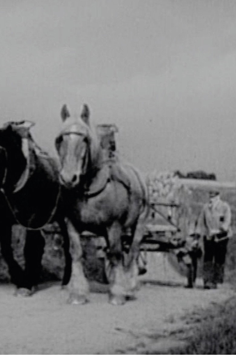 Imatge de Quand chacun apporte sa part