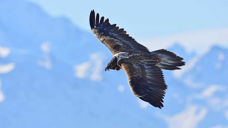 Still image for Wildnis Europa season 1 episode 1: Episode 1