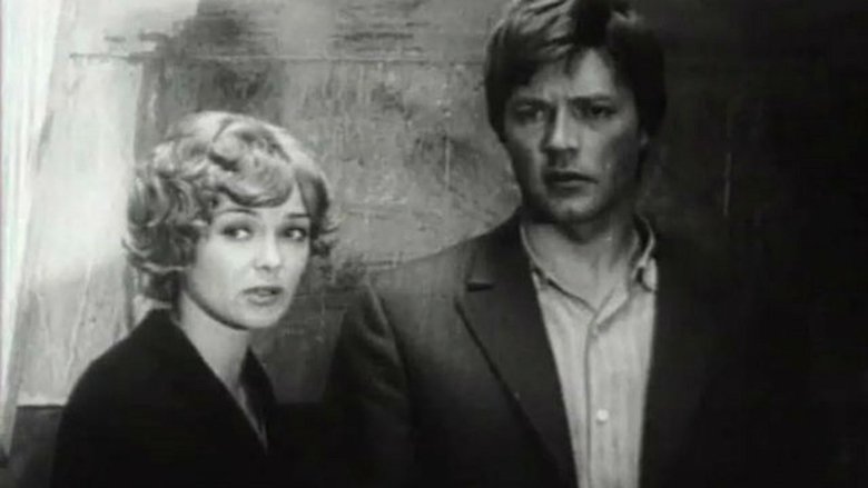 Gallery image from i4oFh1mSVkGJNx6H2rr71GY1n11.jpg