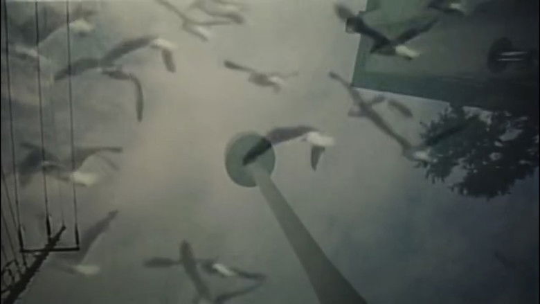 The Dream of Garuda backdrop 7