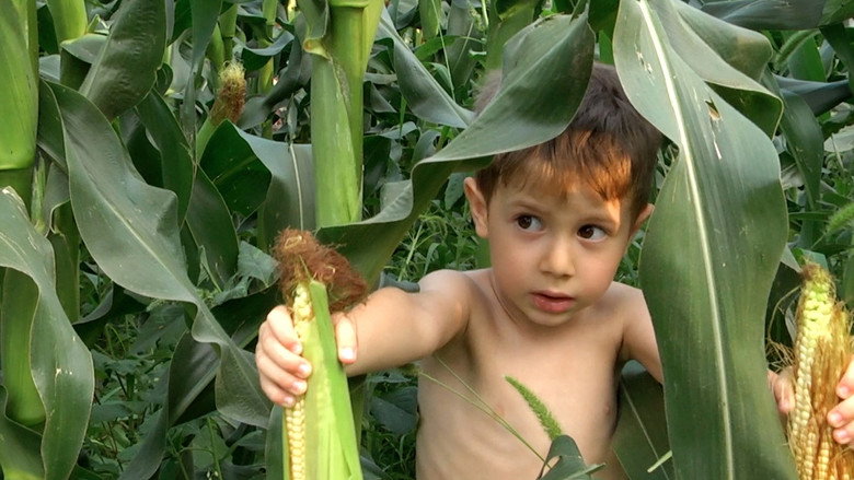 Медиа изображение