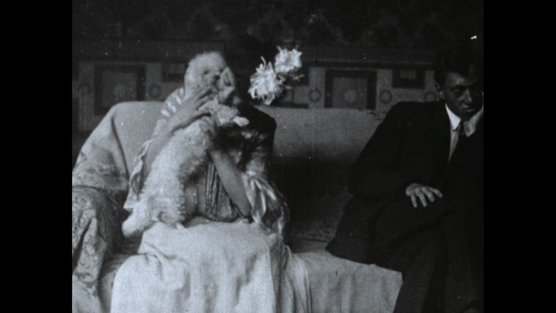 Imatge de Wonder Dogs! Canine Stars of the Silent Era (1898-1928)